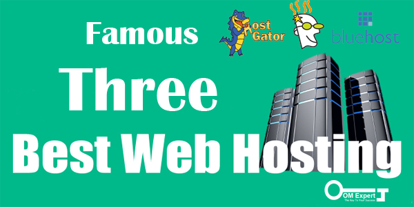 Three Famous And Top Rated Webhosting Companies