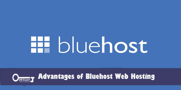 Advantages Of Bluehost Web Hosting