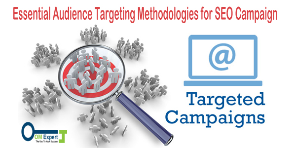 Essential Audience Targeting Methodologies for SEO Campaign