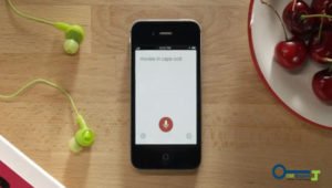 people make use of voice search