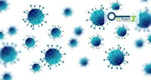 Impact Of Corona virus