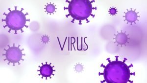 Corona Virus
